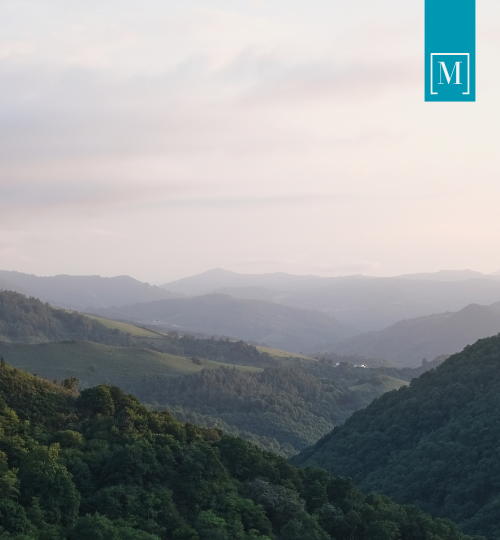 untitled design (47)